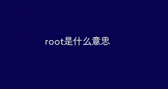 root是什么意思